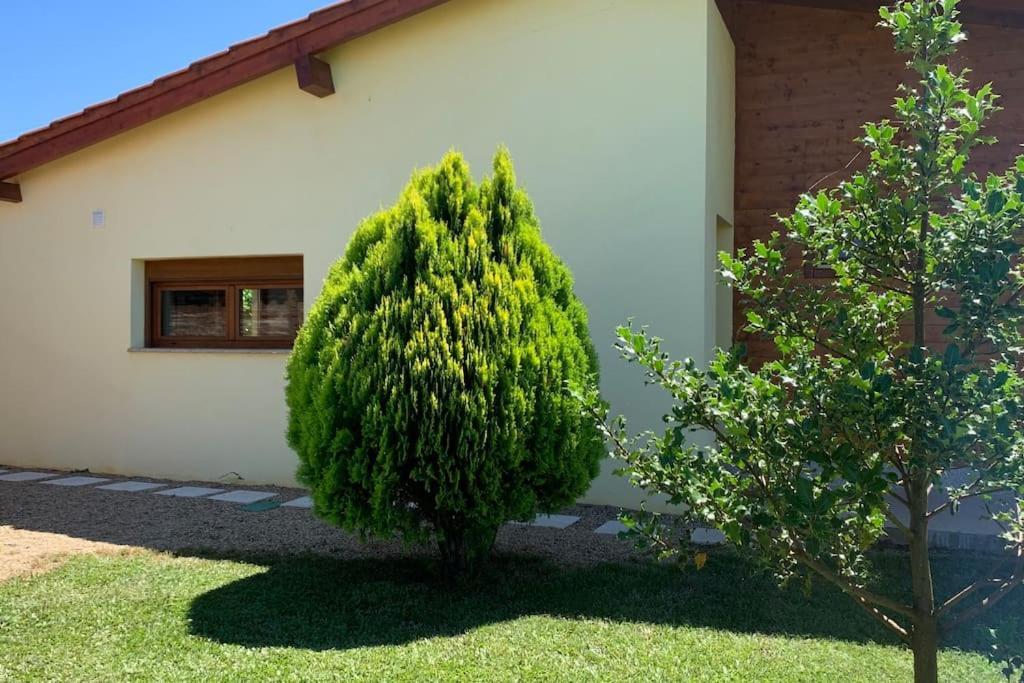 Vila Quinta Pedro E Ines Bragança Exteriér fotografie