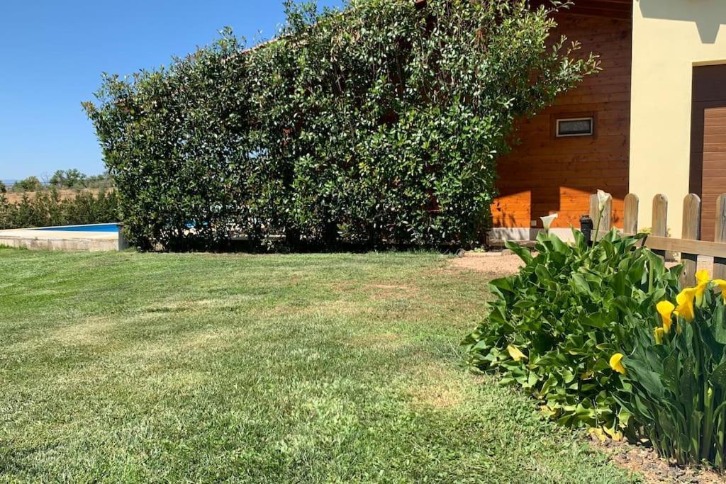 Vila Quinta Pedro E Ines Bragança Exteriér fotografie