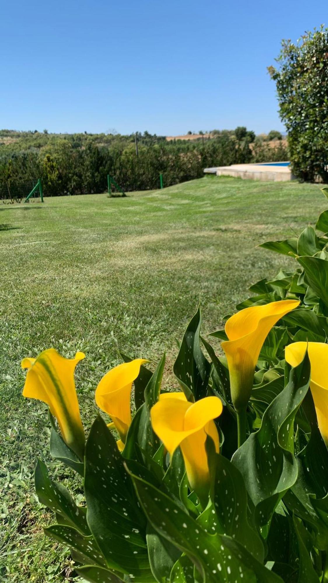 Vila Quinta Pedro E Ines Bragança Exteriér fotografie