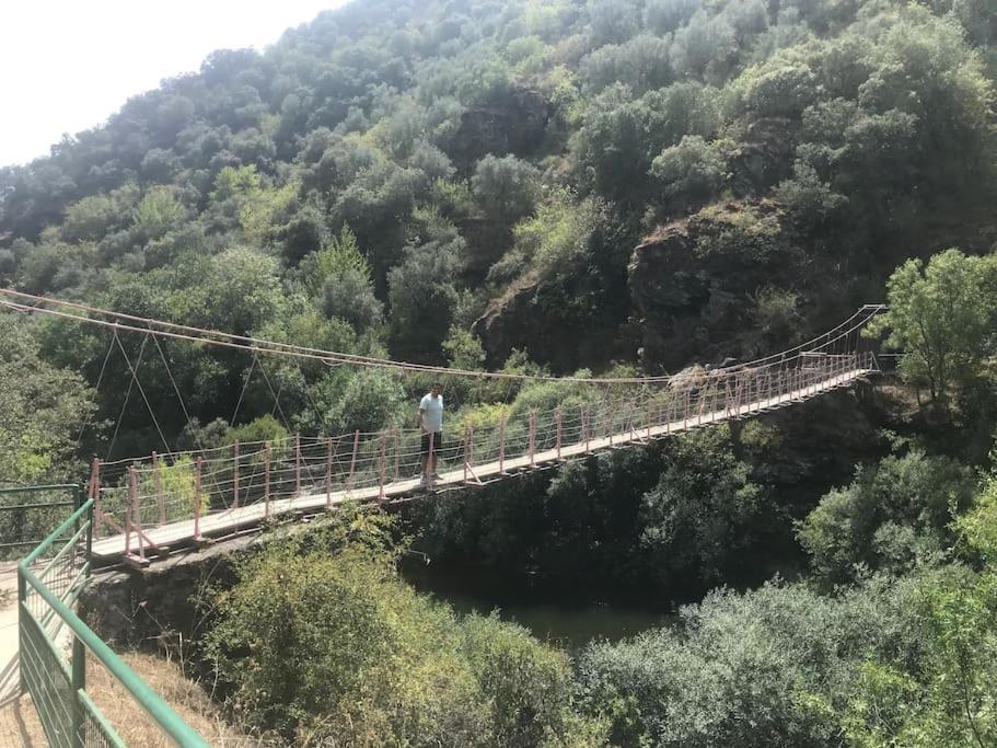 Vila Quinta Pedro E Ines Bragança Exteriér fotografie