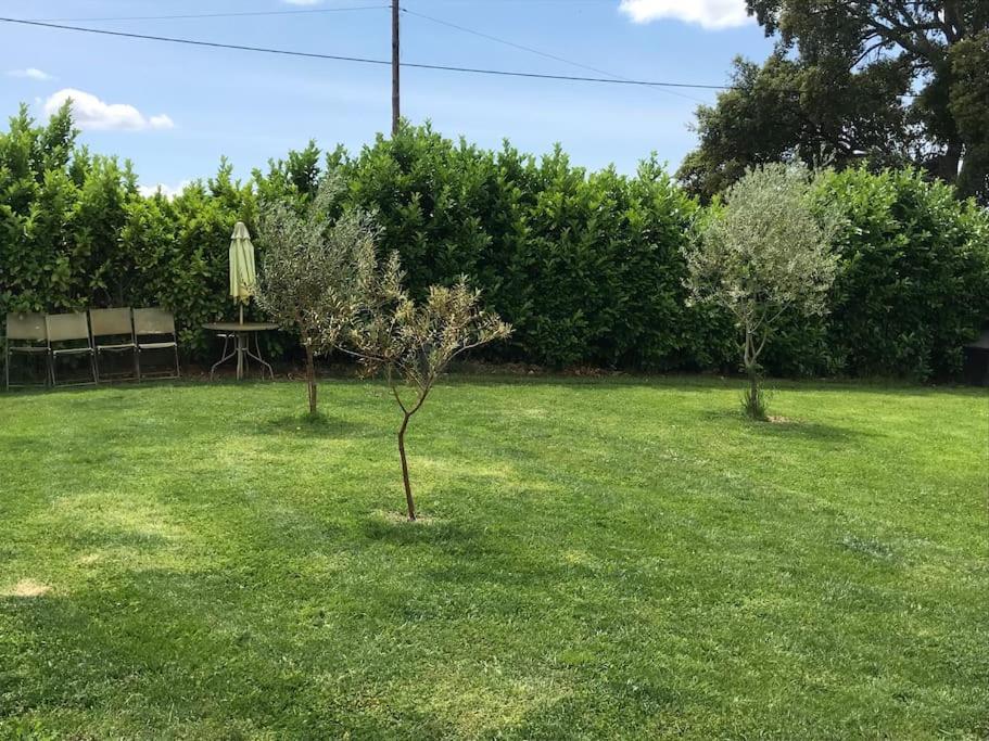 Vila Quinta Pedro E Ines Bragança Exteriér fotografie